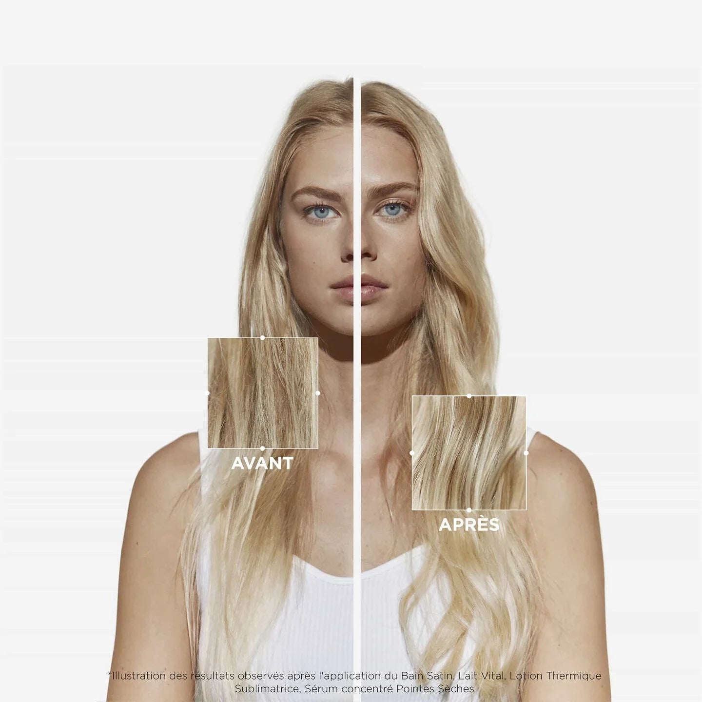 NUTRITIVE LAIT VITAL REVITALISANT